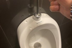 wc1